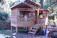 Tree Fort