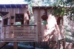 Tree Fort