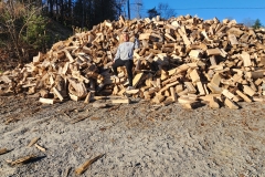 split-firewood